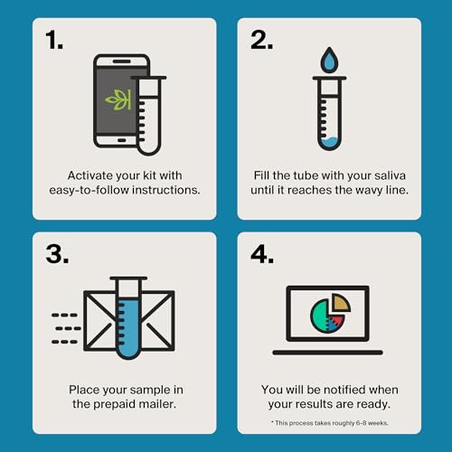 AncestryDNA գենետիկական թեստի հավաքածու՝ անհատականացված գենետիկական արդյունքներ, ԴՆԹ էթնիկության թեստ, ծագում և ազգություն, ամբողջական ԴՆԹ թեստ