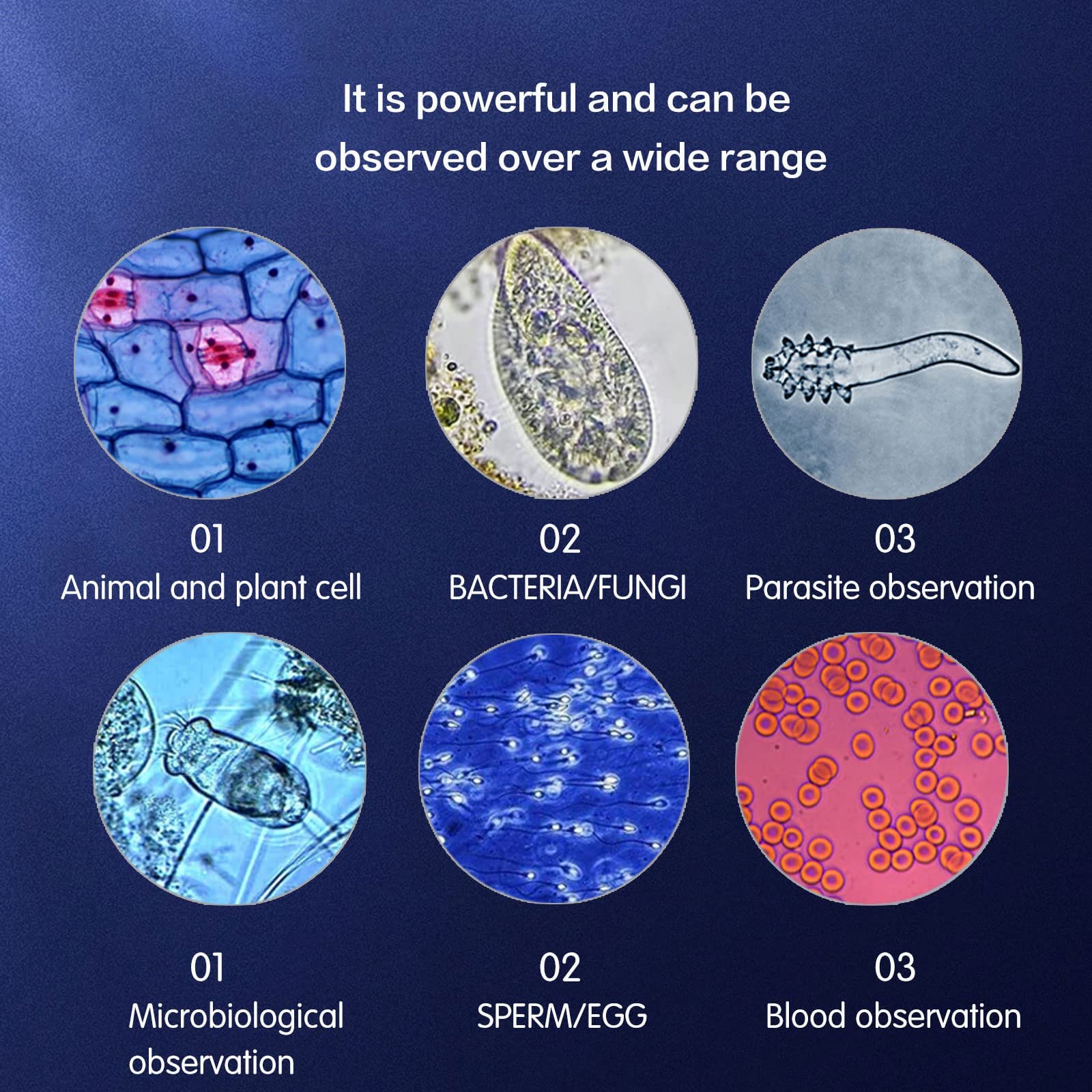 Compound trinocular Microscope, 40X-5000X Magnification